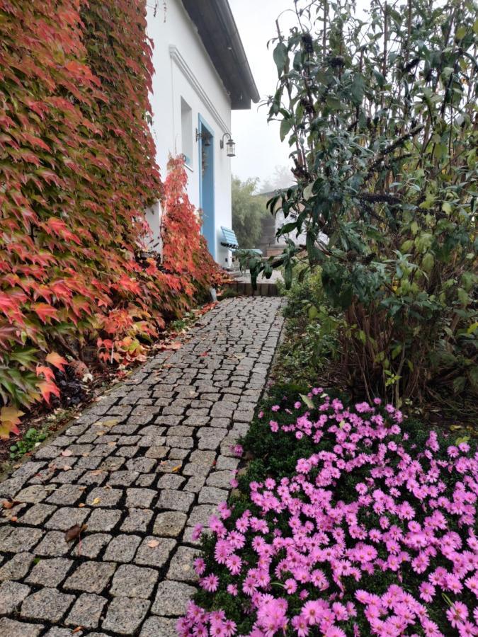 Ferienwohnung Dum Na Navsi Teplitz Exterior foto